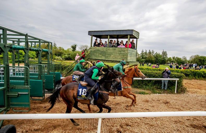 RACEHORSE OWNERSHIP: Latest news from Horse Racing Ireland Ownership