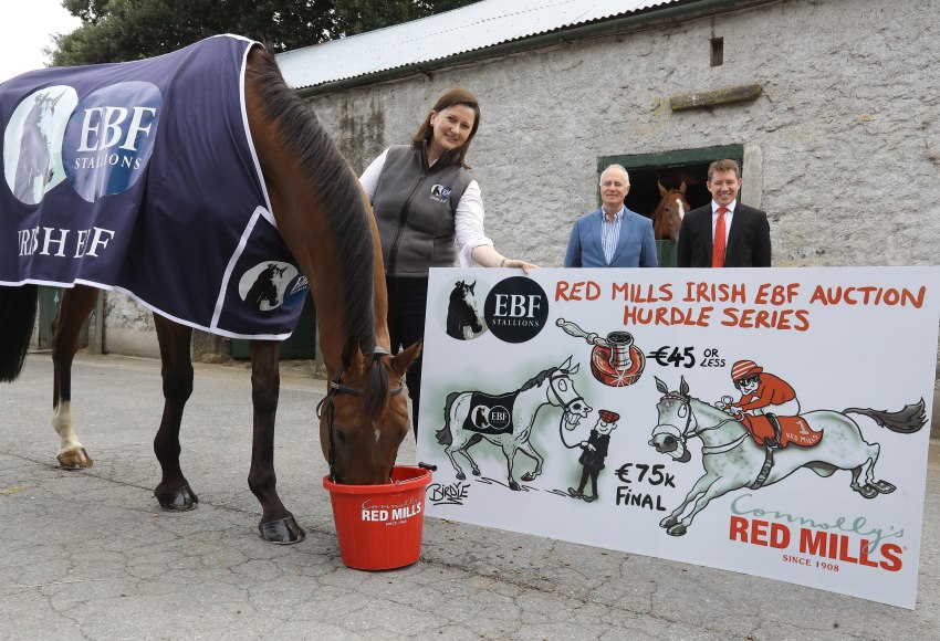 RED MILLS join forces with Irish EBF