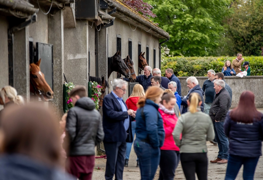 Open Morning Press Release