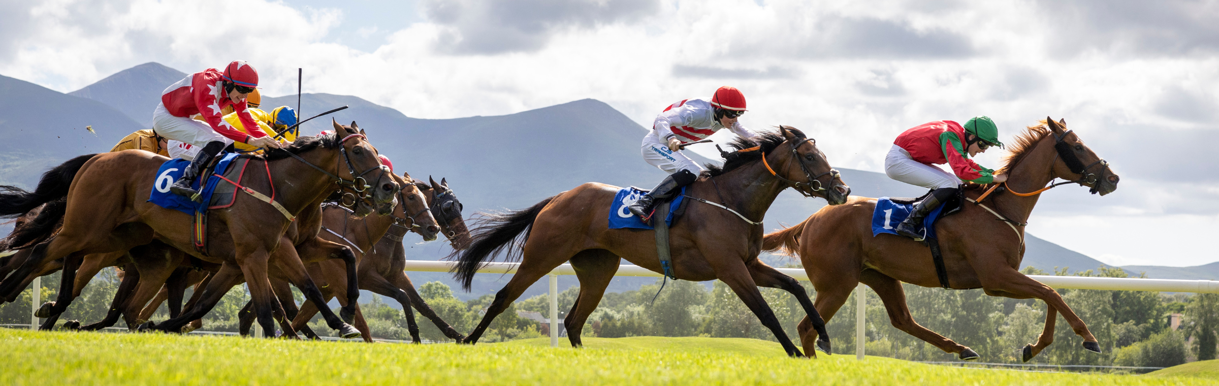 Owners Club Register Your Interest | Horse Racing Ireland