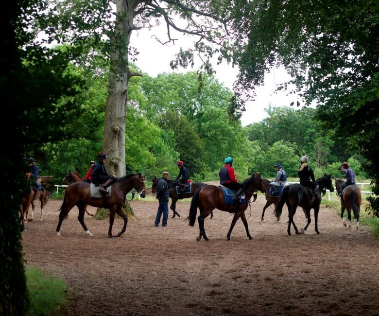 RACEHORSE TRAINERS