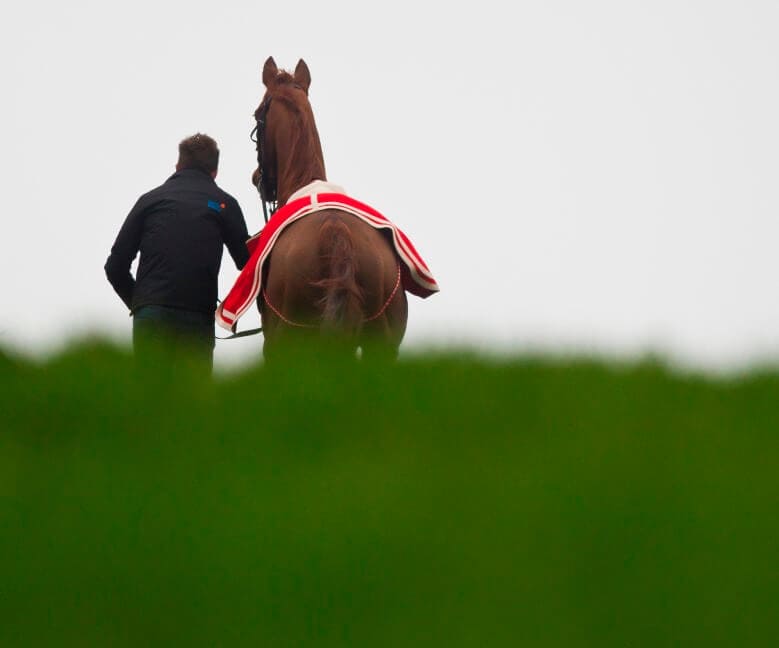 INTRODUCTION TO RACEHORSEOWNERSHIP