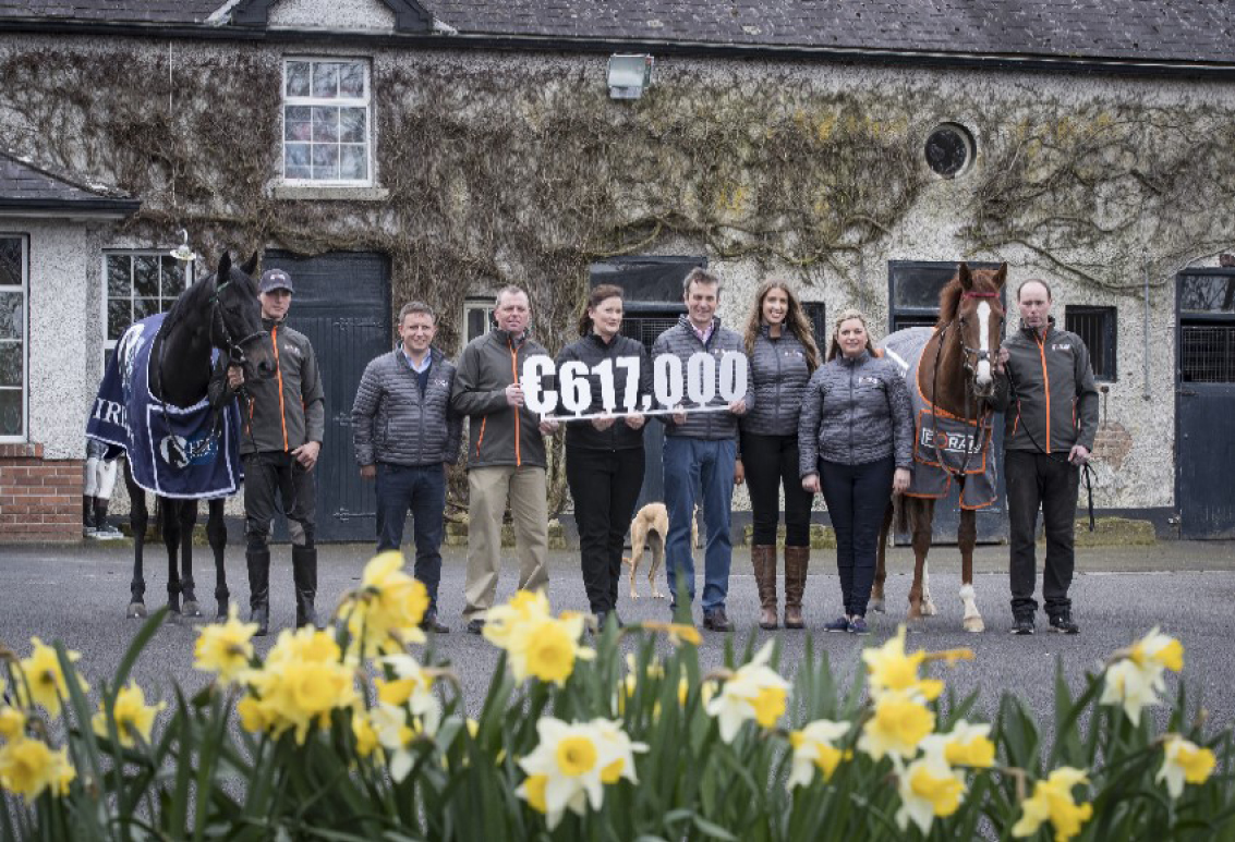 2018 Foran Equine Irish EBF Auction Series